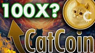 🔥CatCoin [CAT] Crypto 💥BUY NOW?💥