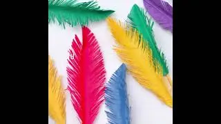 How To make paper feathers | 