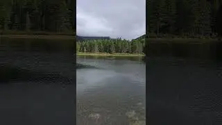 Beaver Lake Dam Failing After Recent Storms Part 2 Of 2