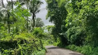 Foury ahi lu akoman