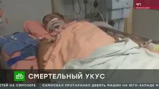 Опасный Таиланд