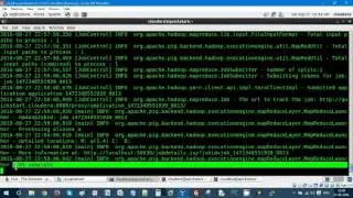 Data Analytics - Load data into PIG Relation without Schema
