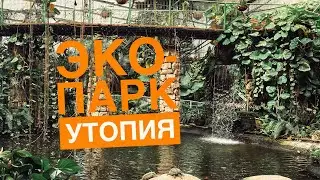 ЭКО-ПАРК УТОПИЯ НЕДАЛЕКО ОТ НЕТАНИИ. Путешествие по Израилю с детьми.
