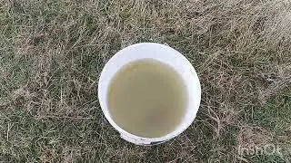 Без рыбалки никак 10 ноября