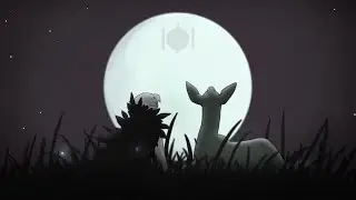 The Owl video - In the calm beauty of everything ('The Life Of Death' animation)