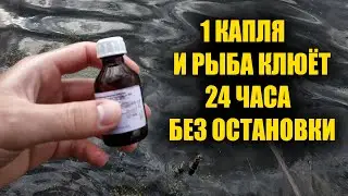 1 drop makes all the fish peck. 95% of fishermen don't know this
