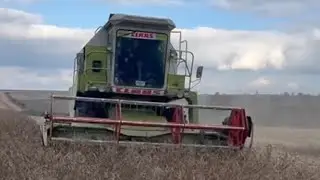 Нарешті завершили молотити сою🍾🥂 24.10.2024. CLAAS DOMINATOR 86