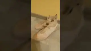 3 августа 2022 г.