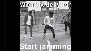 When the Jellyfish Start Jamming