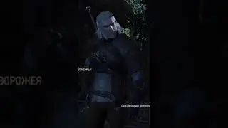 Ведьмак 3 Диалоги 
