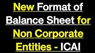 Format of Balance Sheet for Non Corporate Entities - Individuals, Partnership Firm, HUF