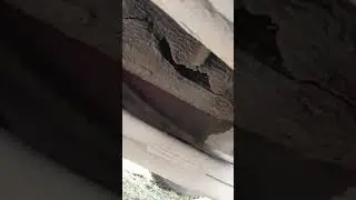 Про Паджеро спорт, бери говорят....