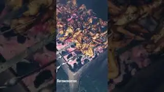 Мастер Шашлики Ёвони 2021       Потписатса