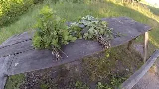 Как заготовить березовый и дубовый веник для Бани!!!