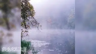 TRAU CHOI - SPIN