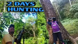 DALWANG ARAW NA PAGBABAKAY SA PUNO NG BALETE, #birdhunting  USING AIR RIFLE GUN