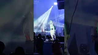 Кармен ещё поёт