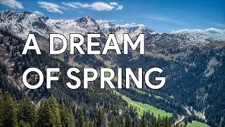Dream of Spring