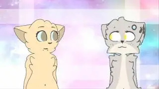 Rhythm Of The Night - meme