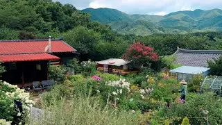 Summer in the Korean countryside, much cooler than the city~!!