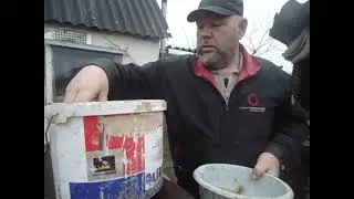 Нутрия  Оставляем ее одну на несколько дней