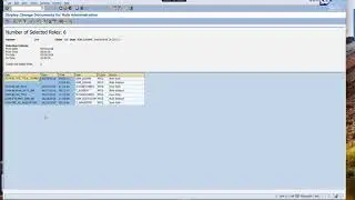 SAP - How to identify new roles created