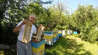 Дорога к меду.