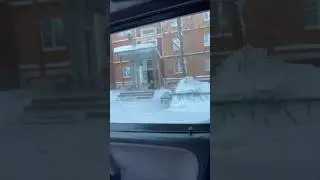 Шадринские дворы стали местом, где косули решили пробежаться.
