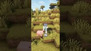 Wtf? 😭 #shorts #minecraft