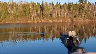 ITS A SHOOTOUT! Briggs Gang vs Angry Beavers
