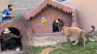 ||CHALLENGE||  Wahab Bhiya Ko Liger K Cage Main Bnd Kr Diya😰