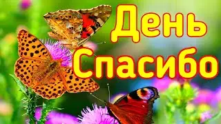 Международный День Спасибо. С Днём Спасибо . Спасибо . 11 января. День спасибо 11 января