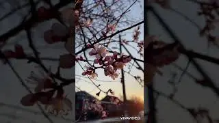 #весна #релакс