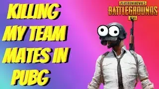 KILLING MY TEAMMATES (PUBG FUNNY MOMENTS)