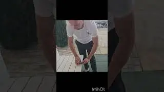 Гипноз птиц 