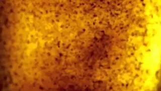 Wash Of Particles