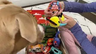 Barkbox March 2022 Opening | Madagascar Unleashed