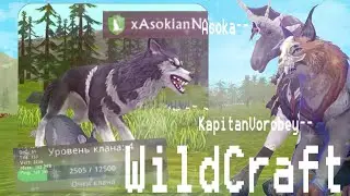 #wildcraft #zasokax 4 УРОВЕНЬ КЛАНА
