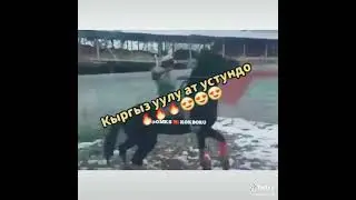 улакчи боло Огабек