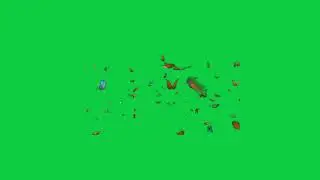 Butterfly Green Screen 4K