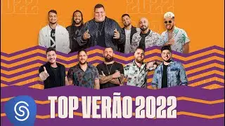 Top Verão 2024 - Os Melhores Clipes