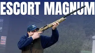 The Escort Magnum! - Best Semi Auto under £200?
