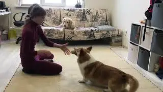 Кук - самостоятельный захват, день 1