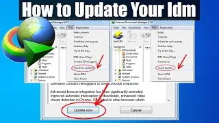 How to Update IDM on Windows 10: Step-by-Step Guide [2025]