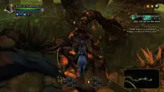 Neverwinter 2 PS4 DC solo nastura mod 12 2017