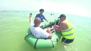 В Кирилловке появились новые разводилы;)
