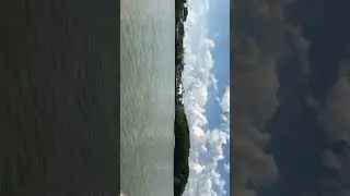 Увидел слона из окна