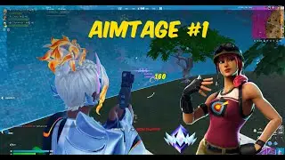 Aimtage #1
