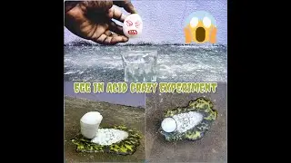 Egg in Acid Experiment , Mad bros