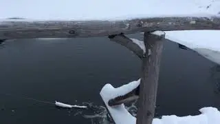 Щурово городище в Суздале